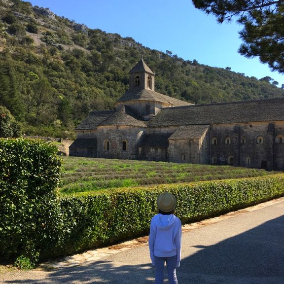 Abbaye Senanque