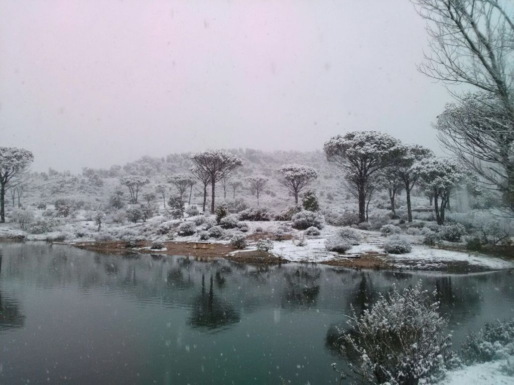 Provence im Schnee - Vidauban (VAR) 2018