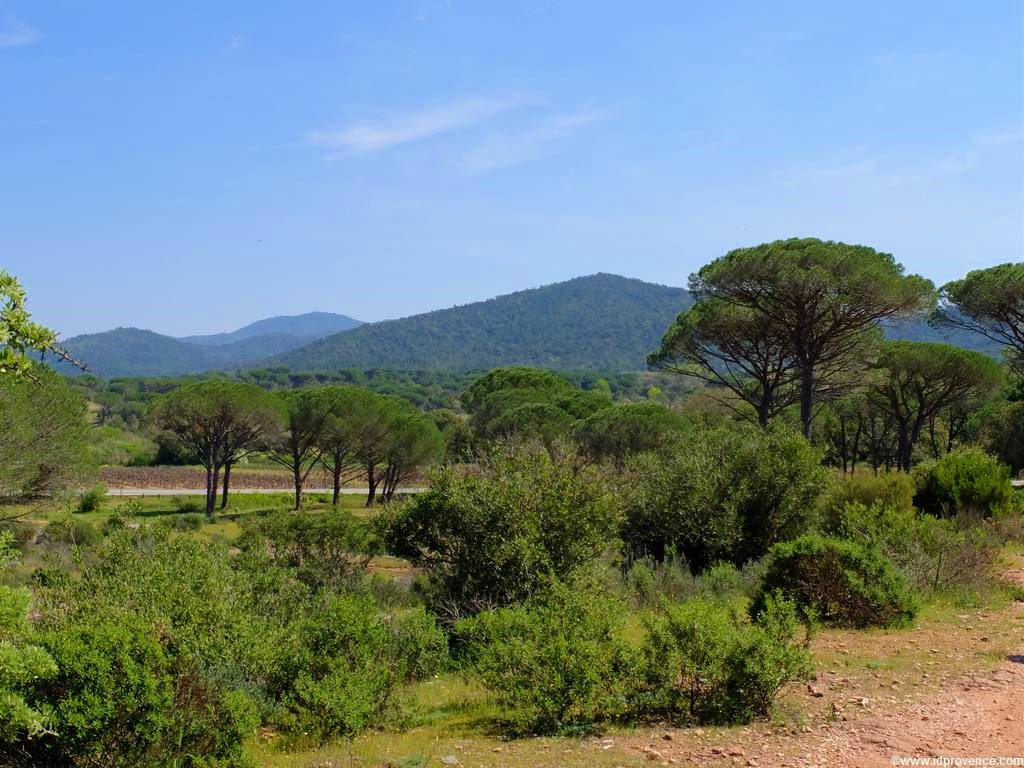 Der See “LAC DES ESCARCETS” im Naturschutzgebiet “La plaine des Maures” im Mauren Massiv im Departement VAR. Wandern und Radfahren in der Provence!