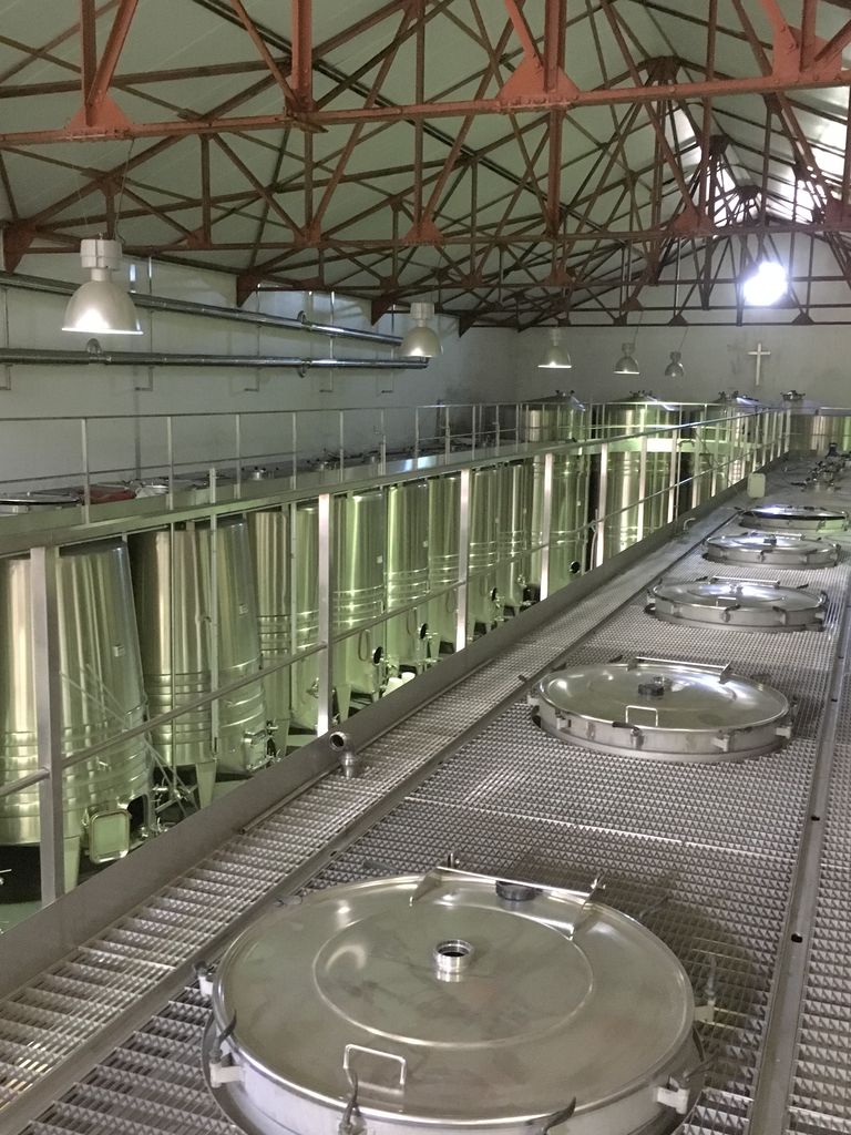 Weingut Château Saint Julien d’Aille Frankreich