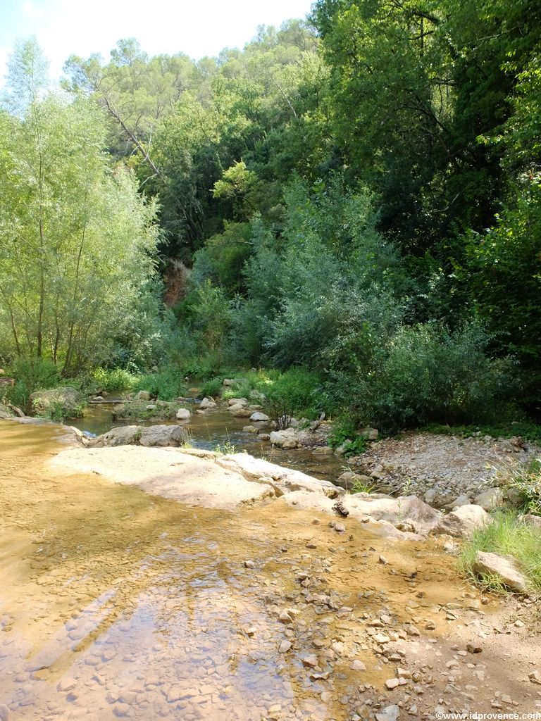 Mountainbiken in der Provence - Warum nicht auf dem Weingut Chateau de Provence?