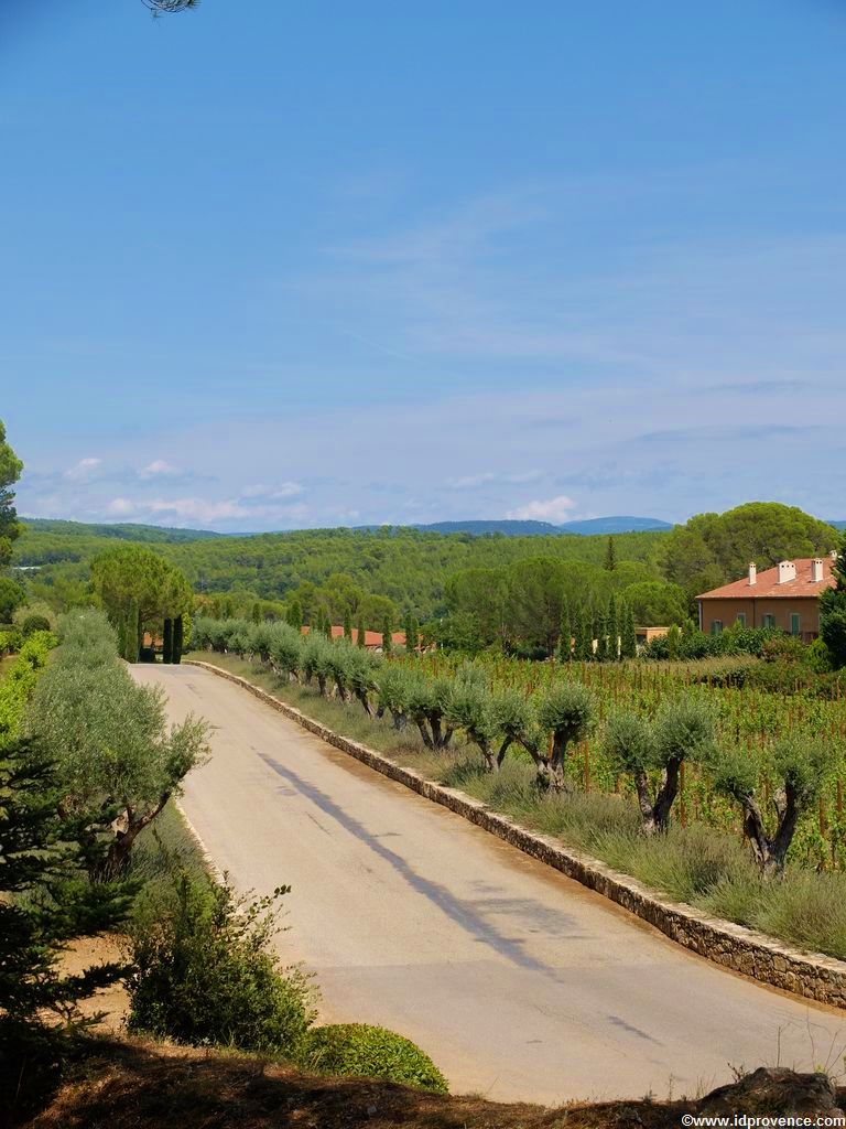 weingut frankreich
weingut provence
weinreise frankreich
urlaub weingut provence
provence weingut übernachtung
urlaub weingut frankreich
weingüter frankreich übernachtung