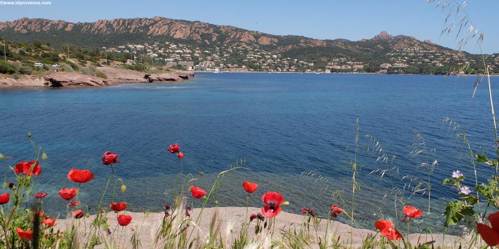 Corniche d'Or -Küstenstrasse zwischen Fréjus und Cannes mit dem Esterel Gebirge im Hintergrund