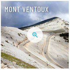 Lavendelblute In Der Provence