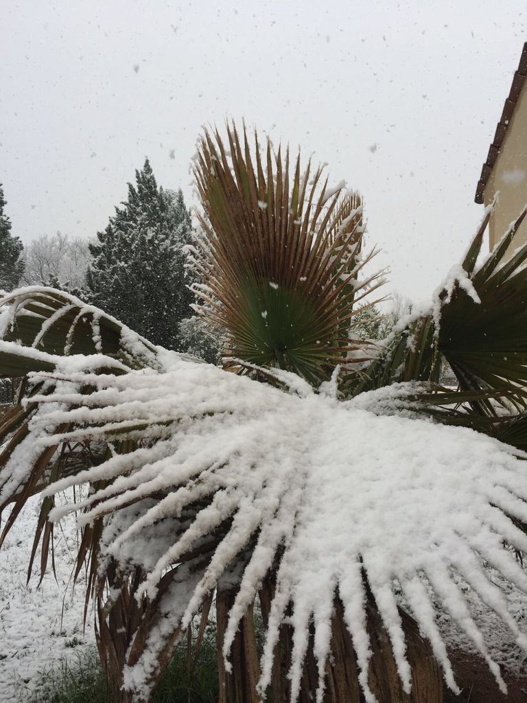 Provence im Schnee - Vidauban (VAR) 2018