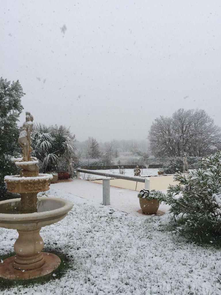 Provence im Schnee - Vidauban (VAR) 2018