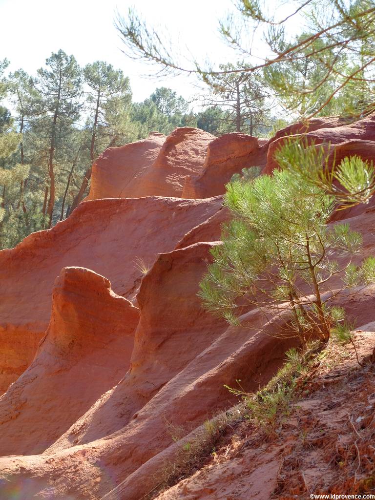 Die Ockerfelsen bei Rustrel sind über eine längere Wanderung zu erkunden