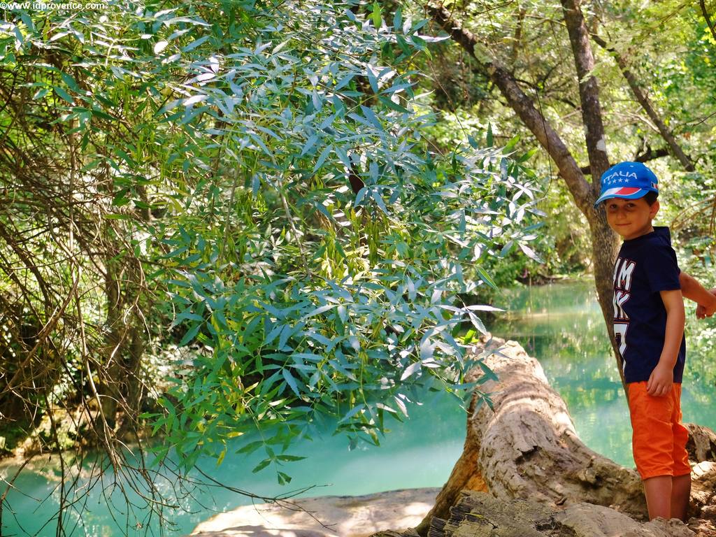 Sehenswürdigkeiten der Provence Die Wasserfälle von Sillans-la-Cascade