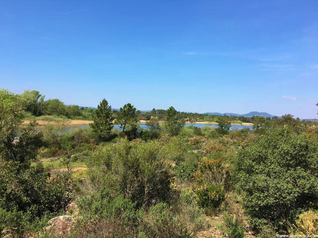 Der See “LAC DES ESCARCETS” im Naturschutzgebiet “La plaine des Maures” im Mauren Massiv im Departement VAR. Wandern und Radfahren in der Provence!