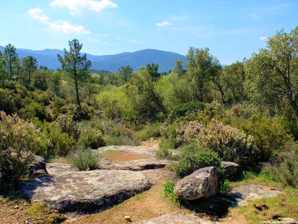 Der See “LAC DES ESCARCETS” im Naturschutzgebiet “La plaine des Maures” im Mauren Massiv im Departement VAR. Wandern und Radfahren in der Provence!