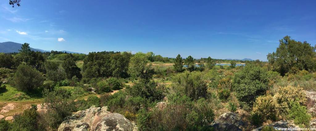 Der See “LAC DES ESCARCETS” im Naturschutzgebiet “La plaine des Maures” im Mauren Massiv im Departement VAR. Wandern und Radfahren in der Provence!