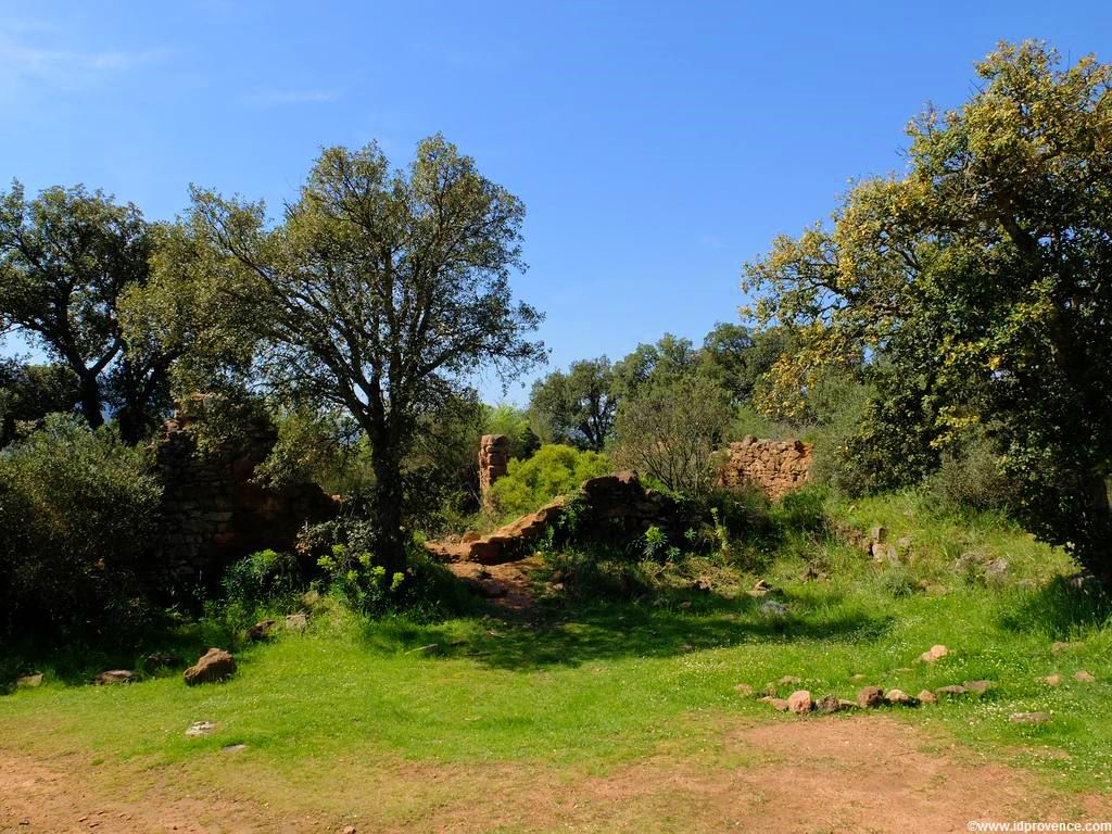 Der See “LAC DES ESCARCETS” im Naturschutzgebiet “La plaine des Maures” im Mauren Massiv im Departement VAR. Wandern und Radfahren in der Provence!